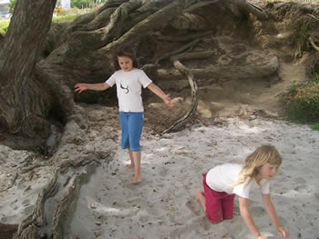 t-shirt - fur seal : organic cotton sustainable style for kids