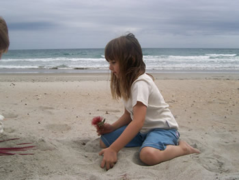 t-shirt - fur seal : beautiful organic cotton clothing for children