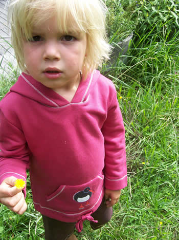 hoody - oyster catcher : beautiful organic cotton clothing for children