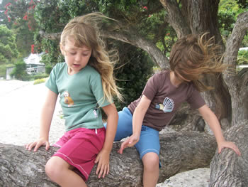 t-shirt - morepork : beautiful organic cotton clothing for children